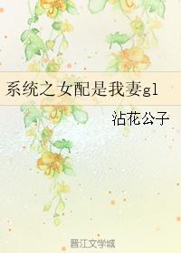 The female partner of the system is my wife gl