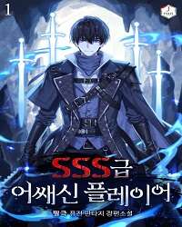 SSS-Class Assassin Player