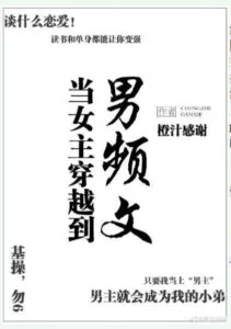 When the Female Protagonist Travels To the Male Frequency Text