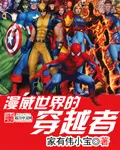 The Traverser of Marvel World